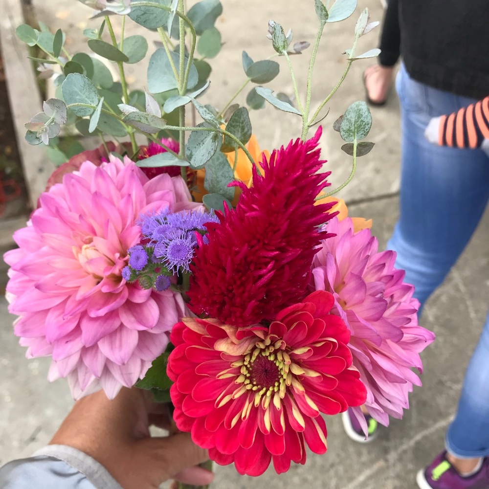 Meet your Posher, Amanda